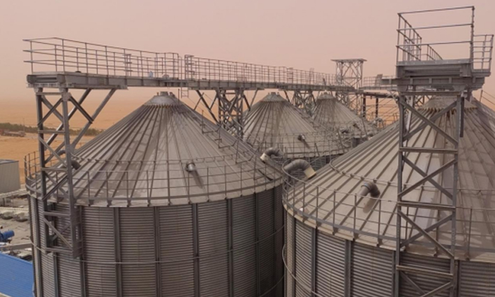 Gli aggiornamenti intelligenti superano i colli di bottiglia della capacità produttiva; La macchina per la profilatura a rulli dei pannelli del tetto più alti di Shanghai Sihua Warehousing ottiene il riconoscimento dei clienti.